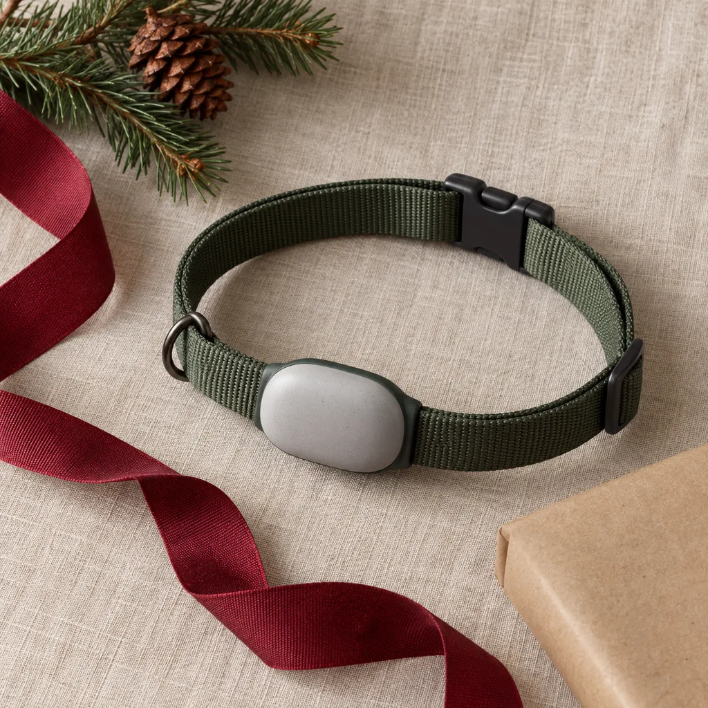 Representative photo-style image of pet activity and sleep monitor — generated, not a specific product